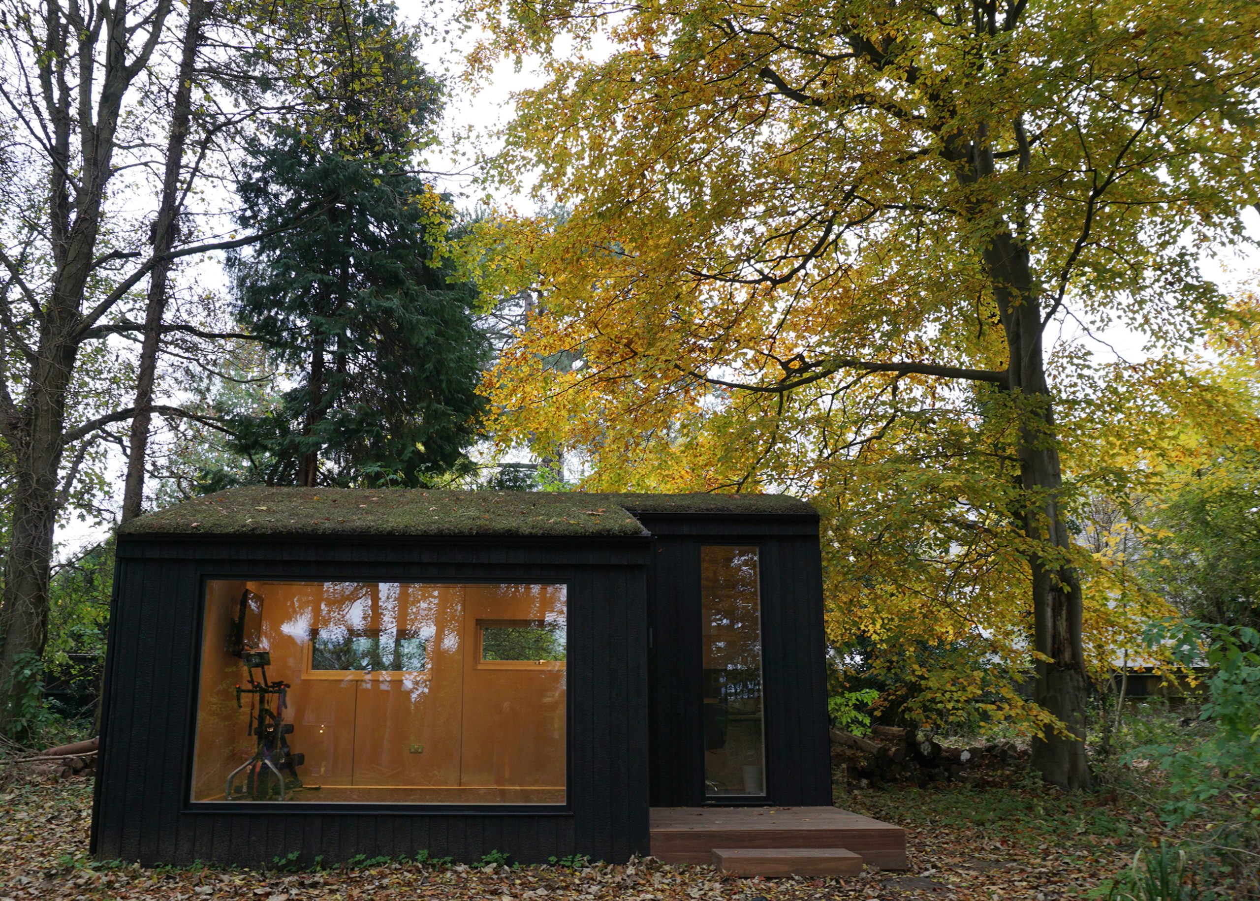 woodland studio timber garden sedum roof charred timber