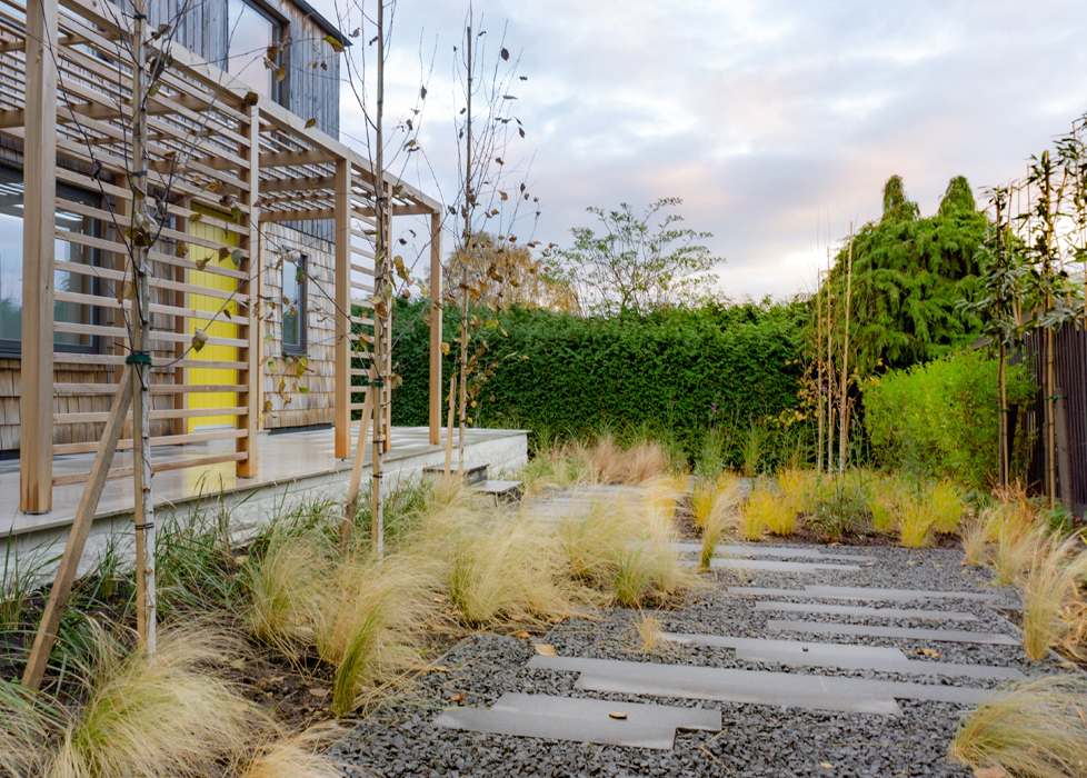 contemporary garden design locorum grasses cedar pergola